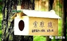 瑷珲被清廷视为“龙兴之地”？来看看历史里的这片土地……