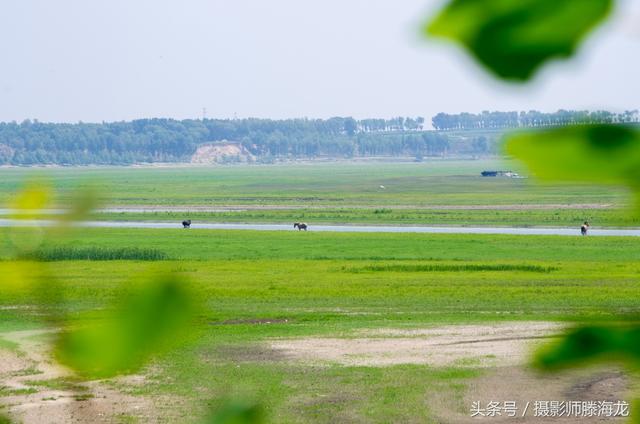 一次以少胜多的战例就发生在大庆境内的这座古战场