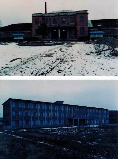 老照片——黑龙江虎林庆丰农场曾经的模样，你还记得吗