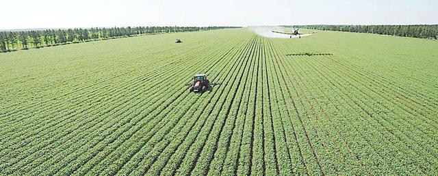 黑龙江方言的演变与特点（四）完结