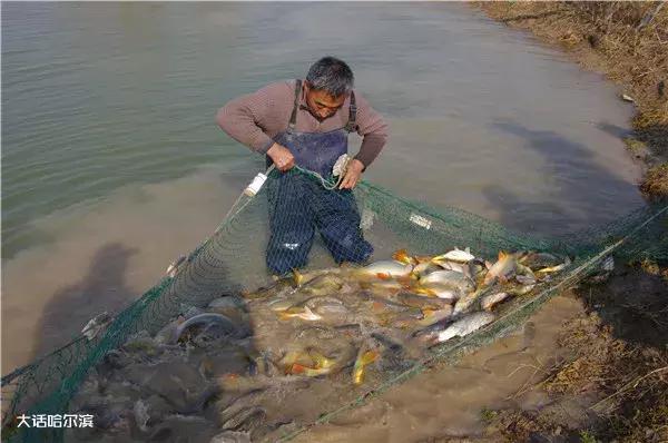闻名于世的“世界第三渔场“：黑龙江省嫩江流域多耐站