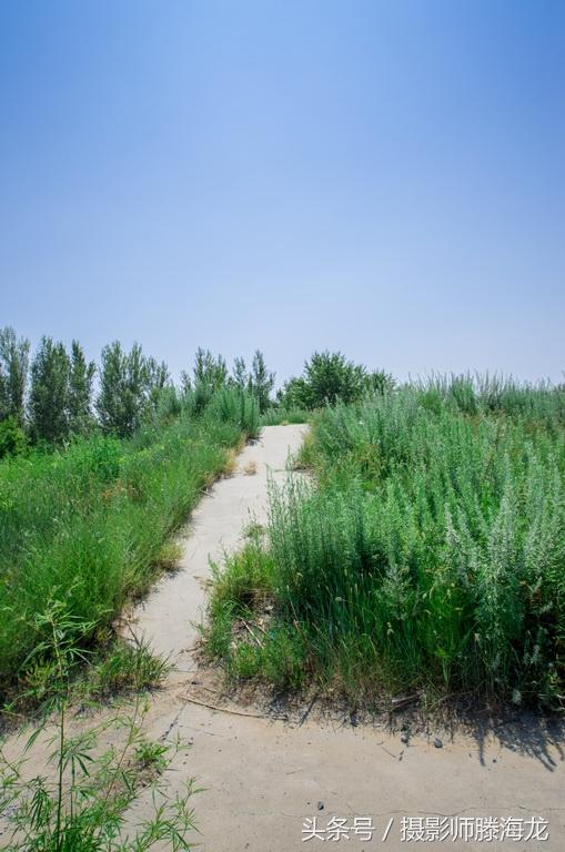 一次以少胜多的战例就发生在大庆境内的这座古战场