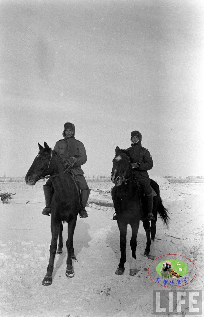 48年辽沈大战前的沈阳奉天的国军【六】 - 沉默的麻雀 - 沉默的麻雀的博客
