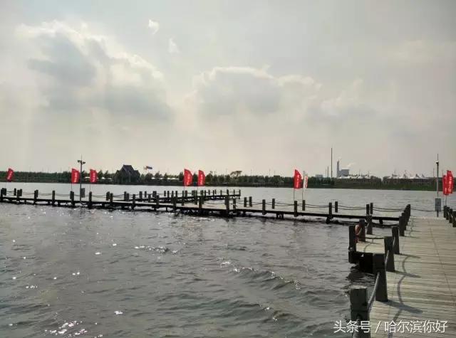 哈尔滨新景：江河之间有一座“莲花岛”，站在58米高的观音脚下