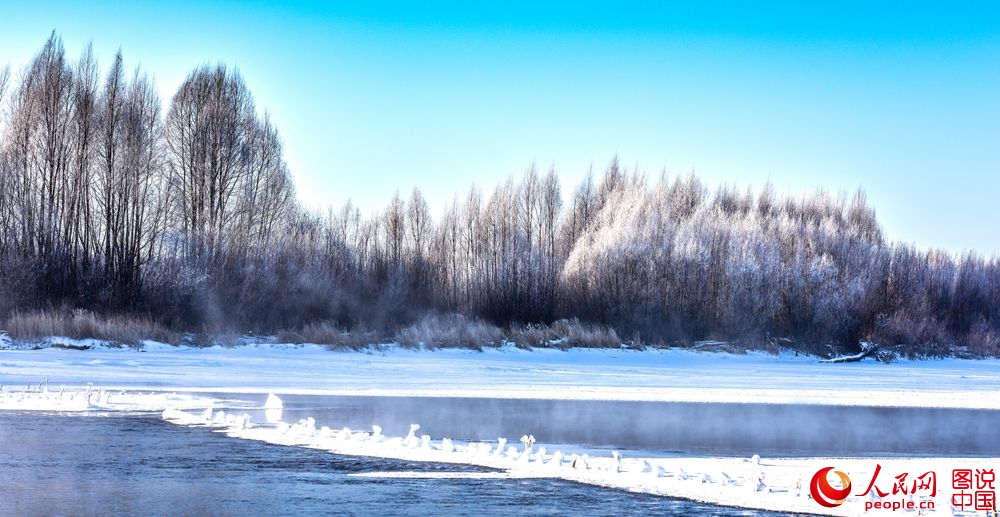 151313ud71znyd7dkqa1i1 (1)