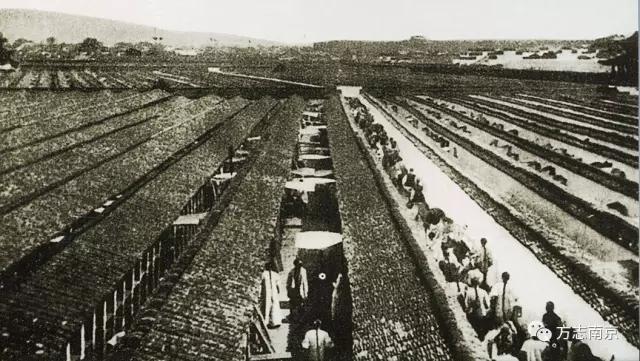 秦淮杂忆：旧影夫子庙边的那景、那人、那事