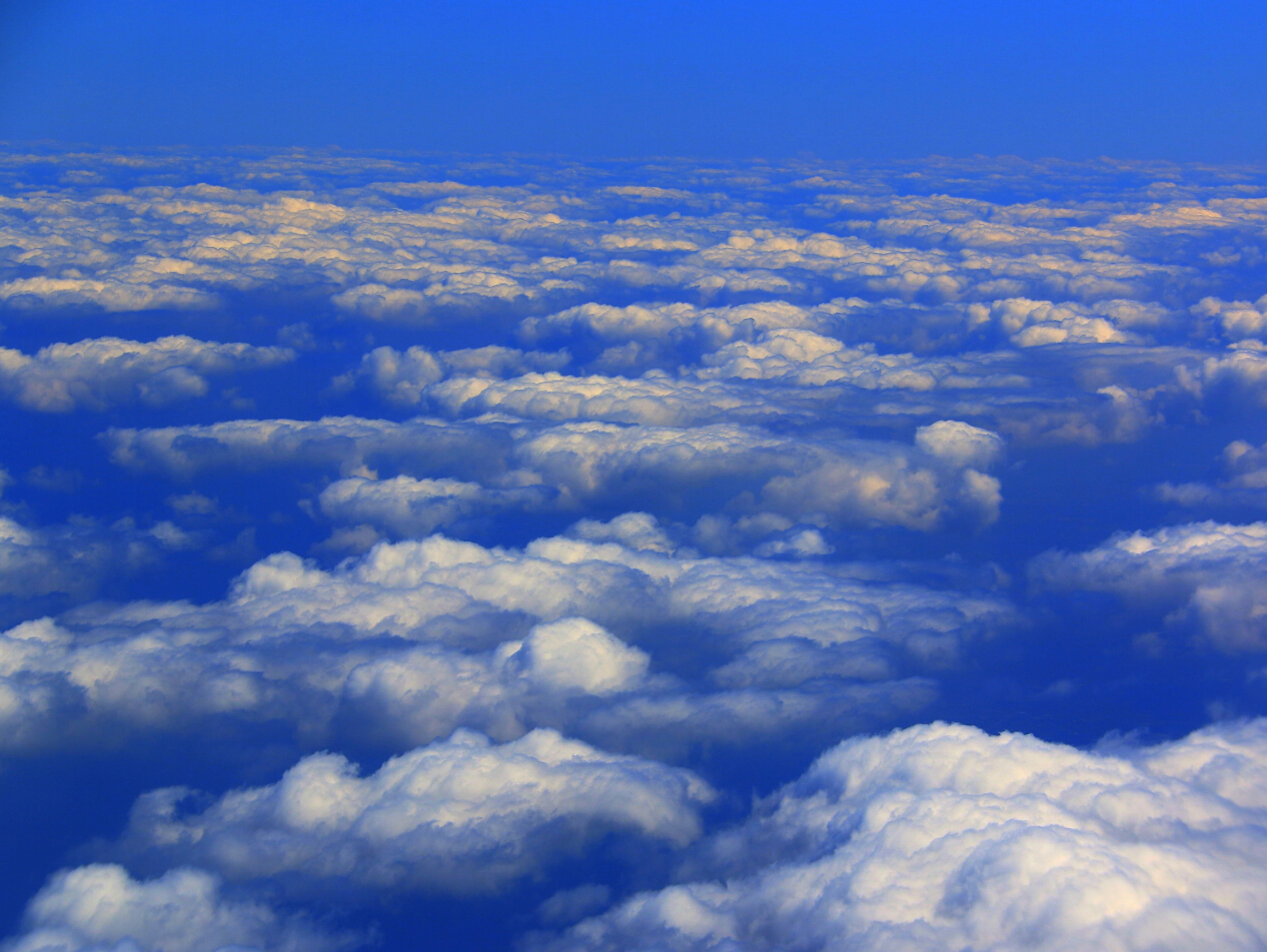 QQ截图20170406115920