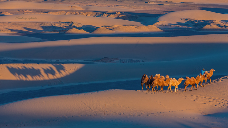 17465730620161121231818018_640