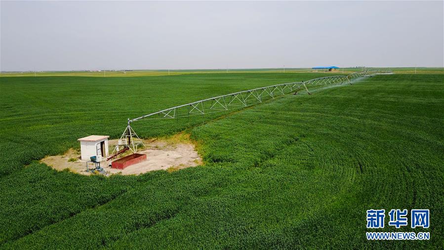 （环境）（1）科尔沁沙地上飘动着“绿海”