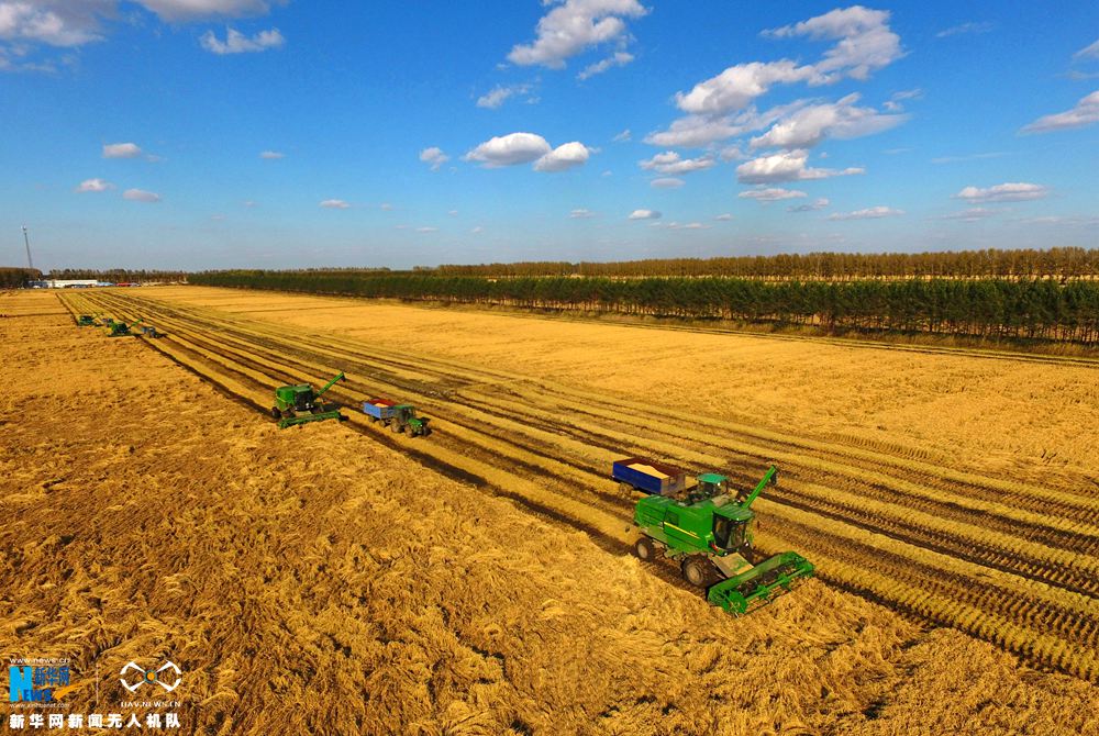 wKhTlFf8QzSEXme0AAAAABeLlUQ690