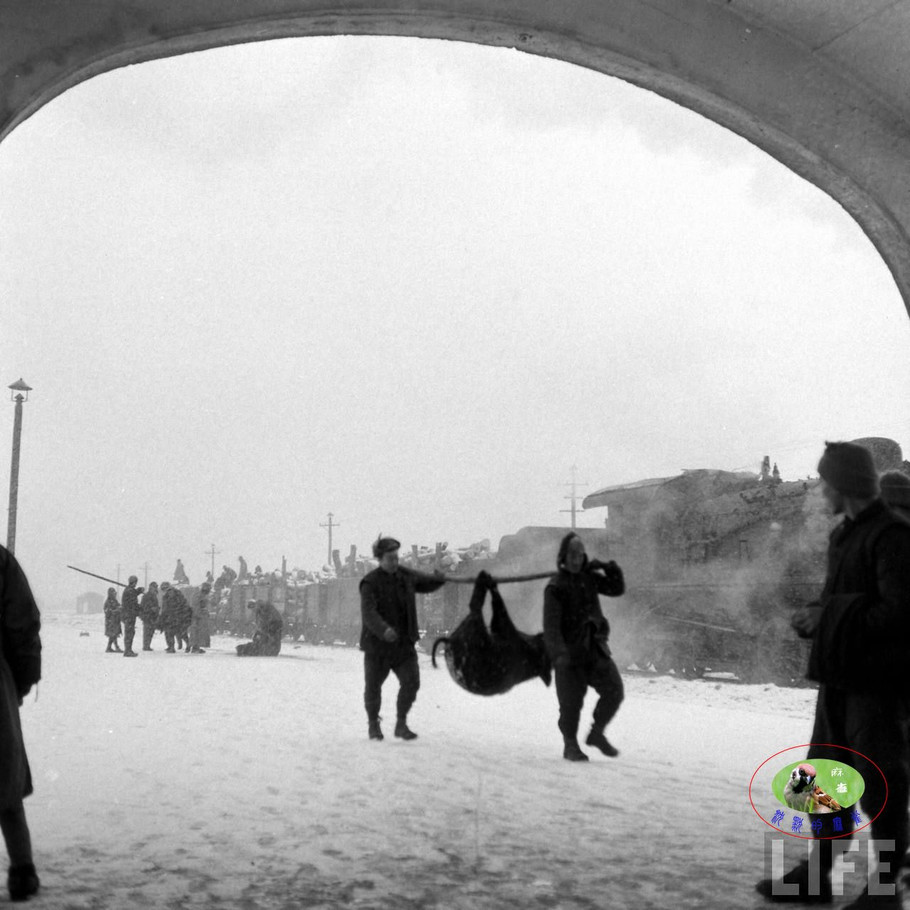 48年辽沈大战前的沈阳奉天的景象【一】 - 沉默的麻雀 - 沉默的麻雀的博客