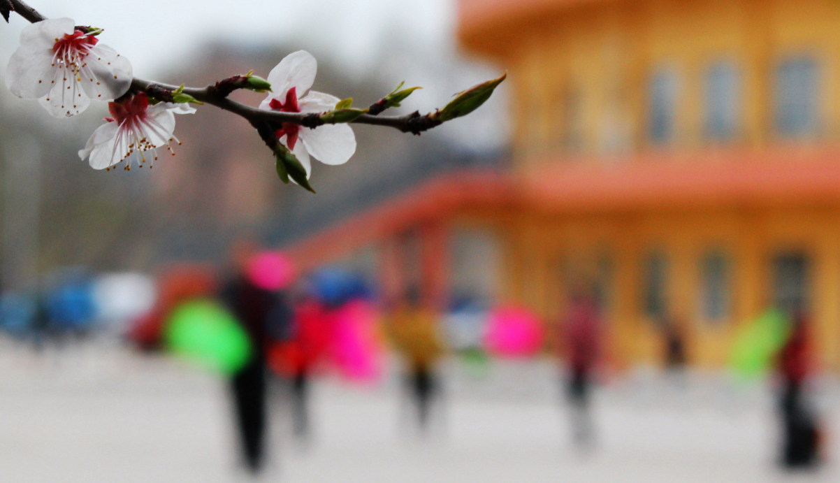 QQ截图20170406130546