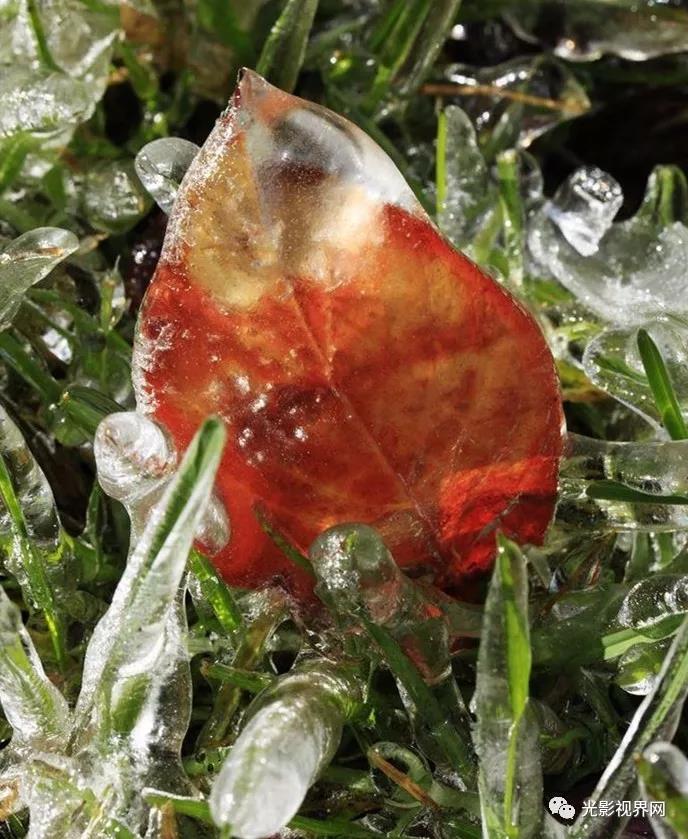 微信图片_20171121162132