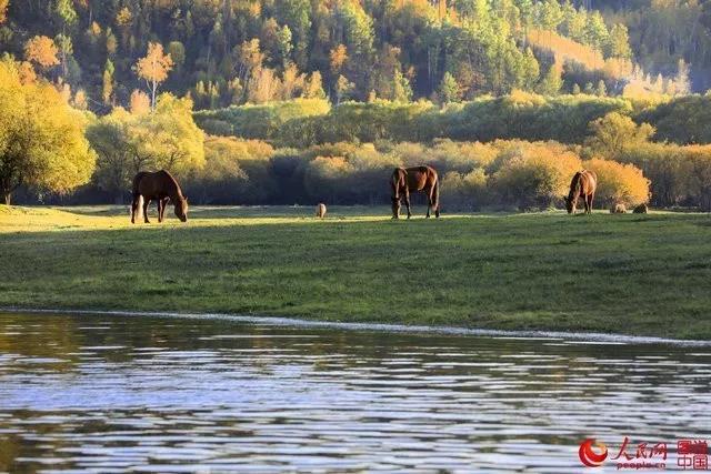 微信图片_20171009101122