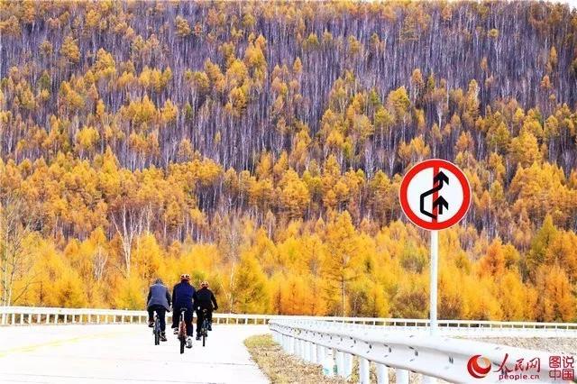 微信图片_20171009100907