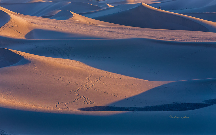 17465730620161121231804044_640