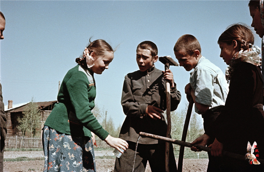 1950年代苏联小学生的室外农学课 - 沉默的麻雀 - 沉默的麻雀的博客