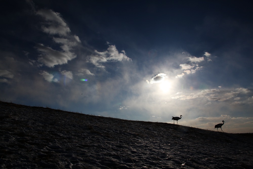 194602je3zur35t1e3533r