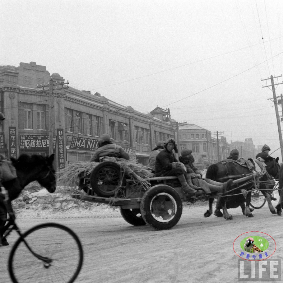 48年辽沈大战前的沈阳奉天的景象【二】 - 沉默的麻雀 - 沉默的麻雀的博客