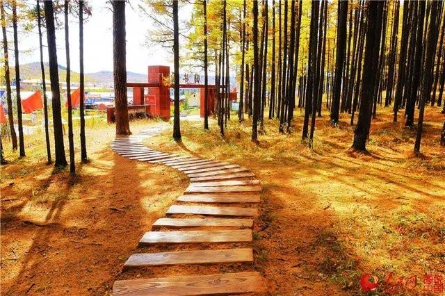 微信图片_20171009100858