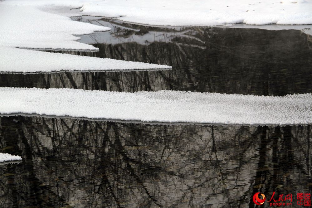 151856vhmc6t59dfmjl9tm