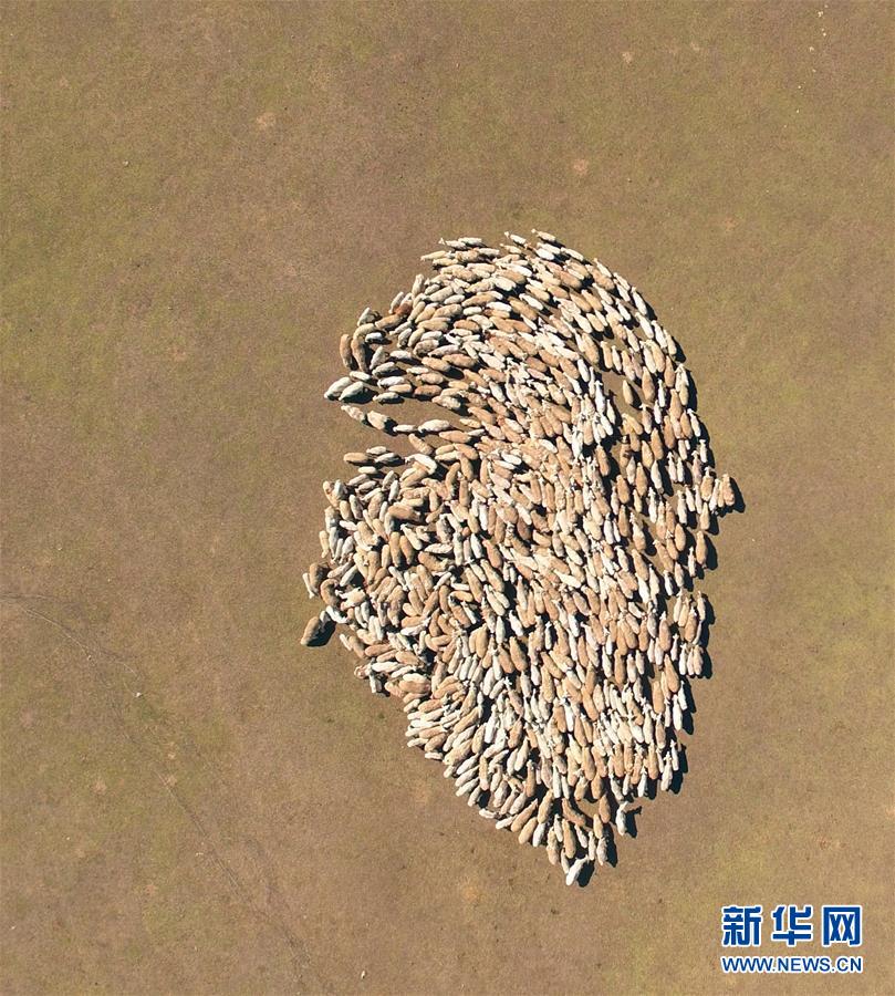 （生态）（4）jrs电脑直播_极速体育无插件直播_jrs直播极速体育呼伦贝尔大草原