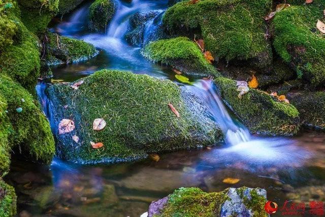 微信图片_20171025161422