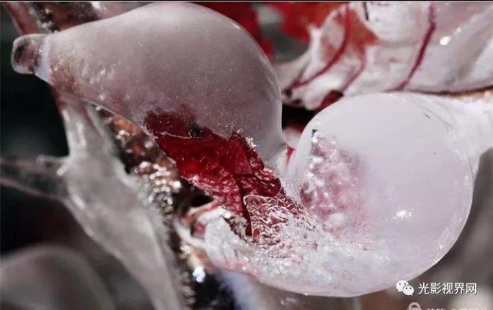 微信图片_20171121162125