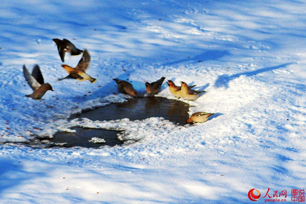 161918aqfzz7j7ghcp8fp2