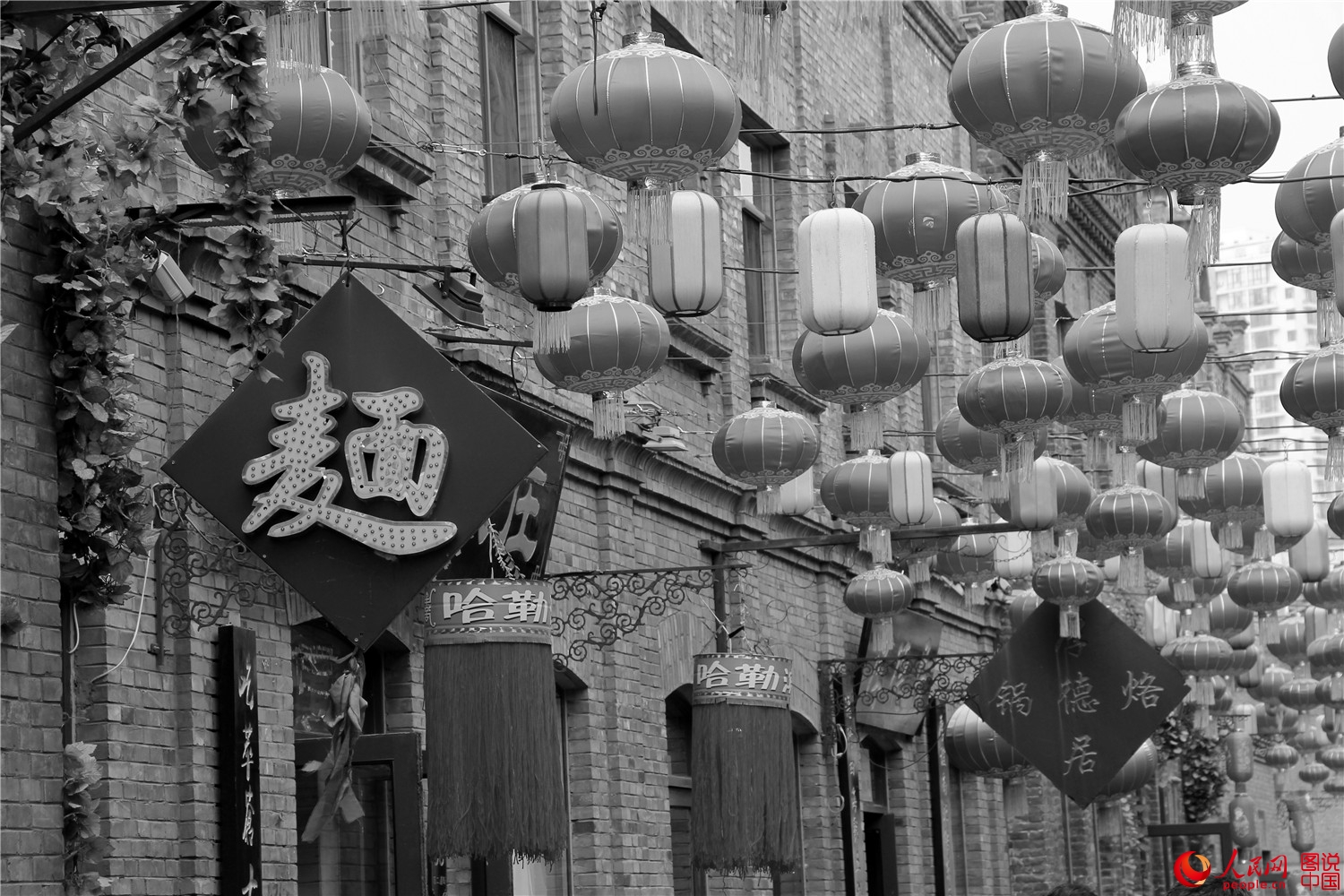 085839p4bxet3t5bc3nzlc