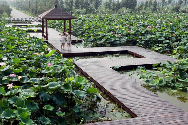 鸟瞰江城 生态宜居