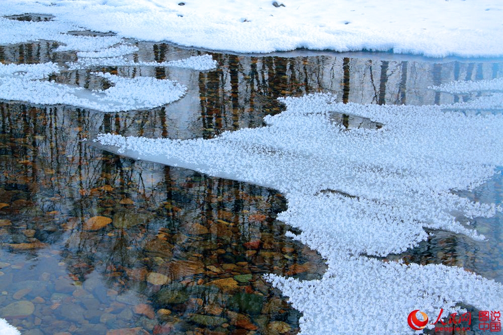 151855g34eeo7b7p447qx6