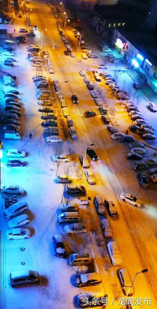 哈尔滨下雪了，空气特清新 ！美景，  如童话般的世界
