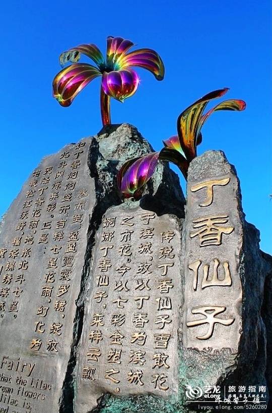 冰城春天的浪漫盛事，流连在丁香园飘香的花海