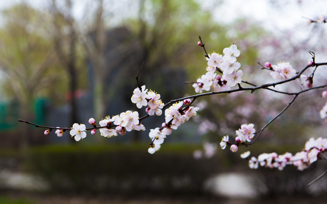 QQ截图20170406130412