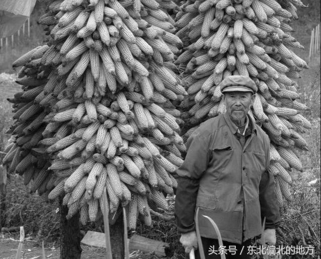 那些渐行渐远东北农村生活的记忆