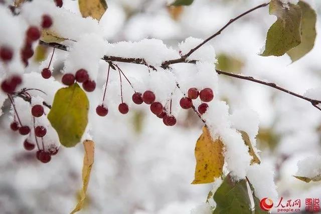 微信图片_20170928170509