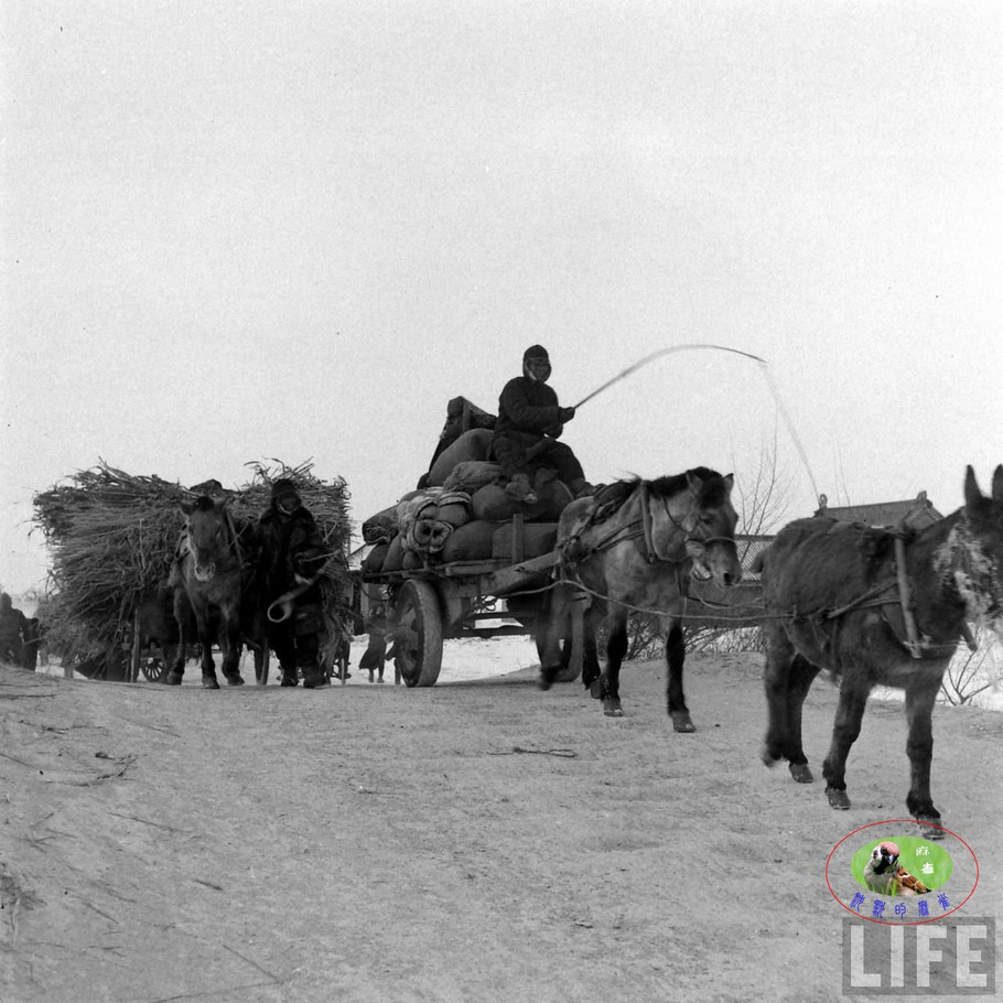 48年辽沈大战前的沈阳奉天的景象【一】 - 沉默的麻雀 - 沉默的麻雀的博客