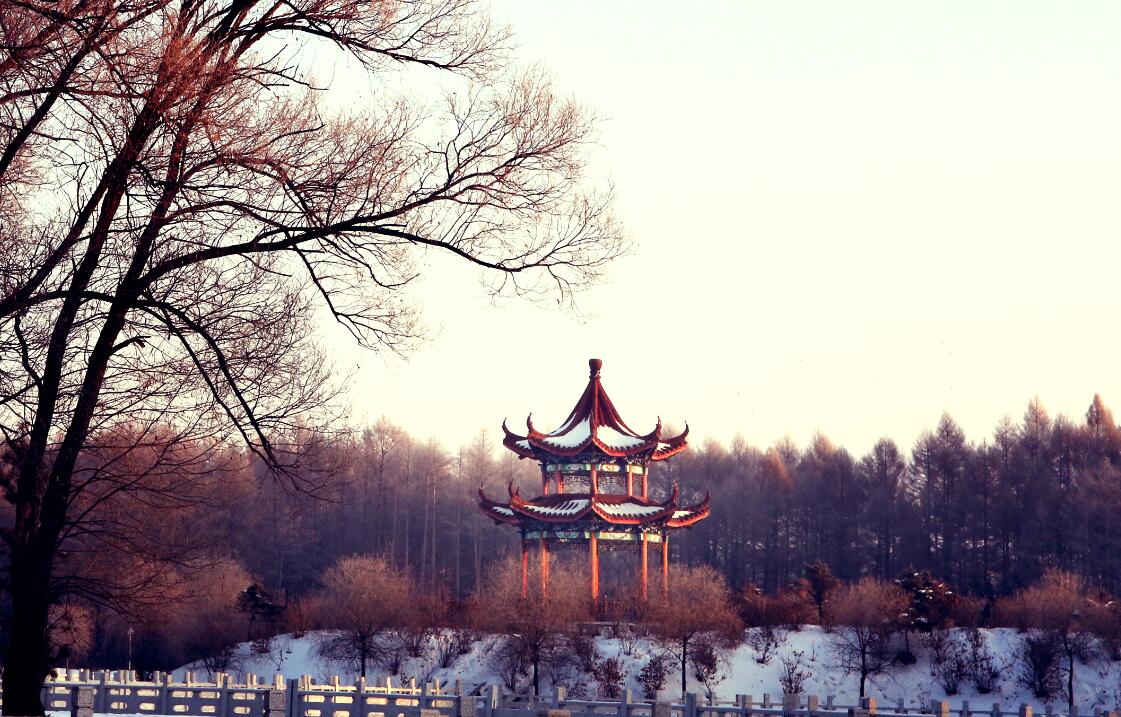 QQ截图20170120112159