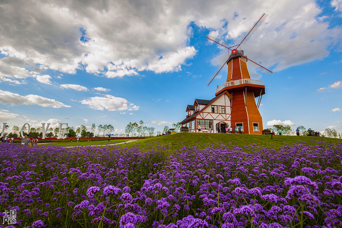 214755qe8fjf0sfojlb85e