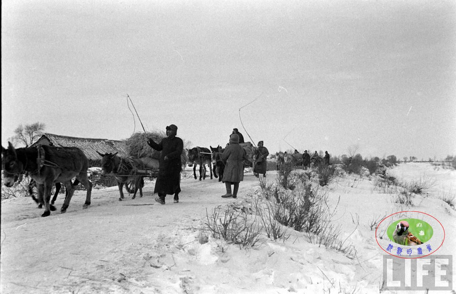 48年辽沈大战前的沈阳奉天的景象【二】 - 沉默的麻雀 - 沉默的麻雀的博客