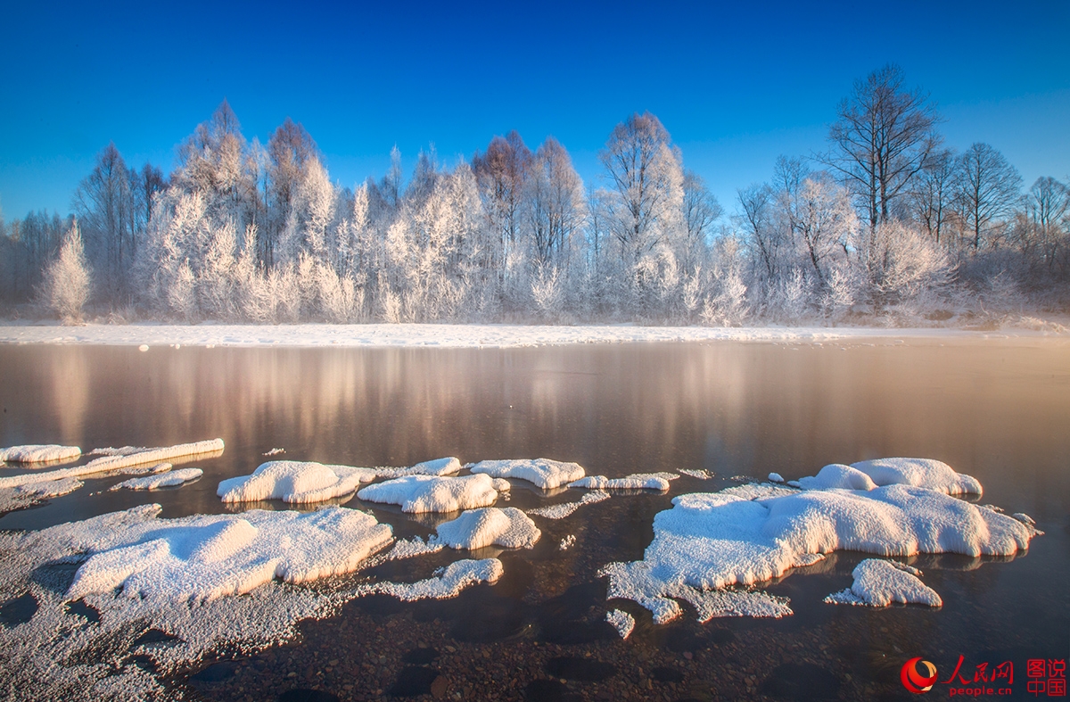 211957ve4wgrau7dwds552