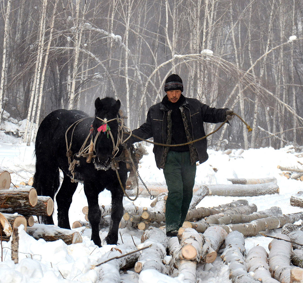 140045tkr667i6g67f2exj