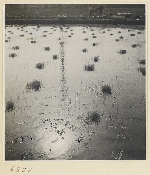 海达·莫里森拍摄的民国影像农家生活【1】 - 沉默的麻雀 - 沉默的麻雀的博客