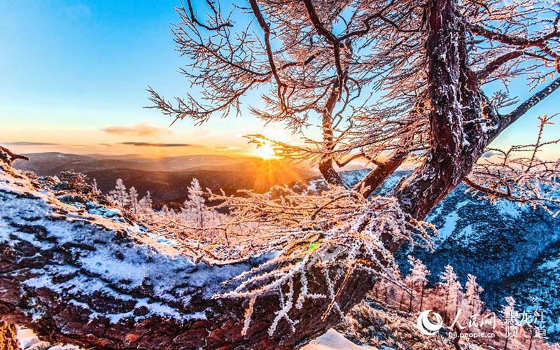 伊勒呼里山 鄂伦春人敬仰的神奇山林【5】