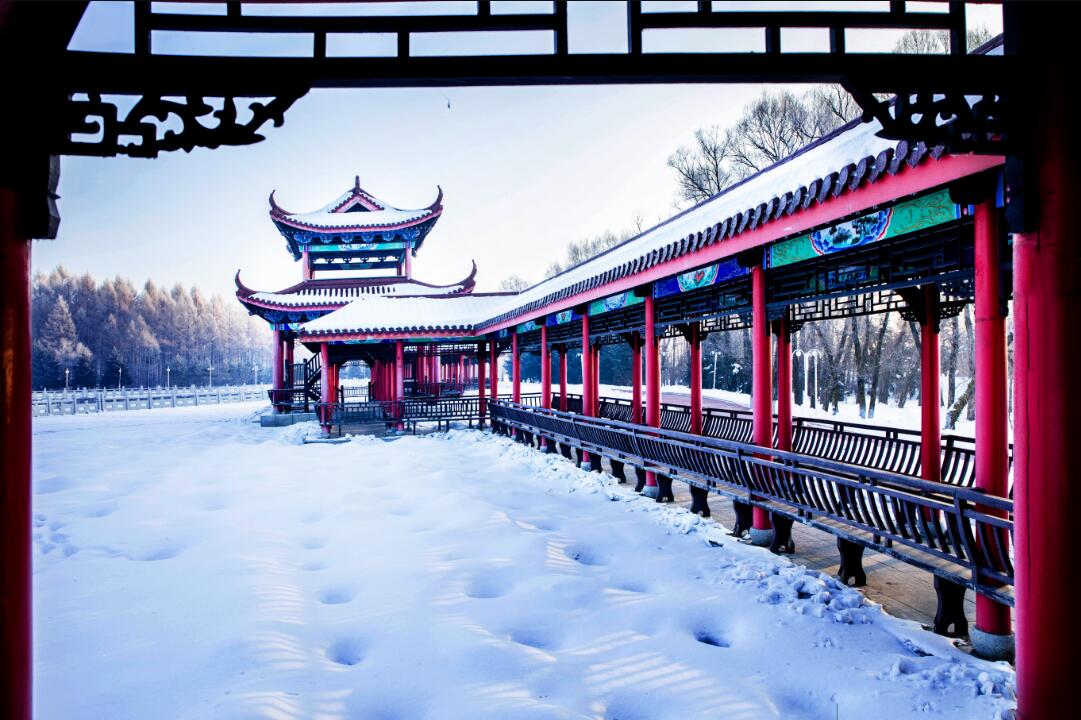 QQ截图20170120112250