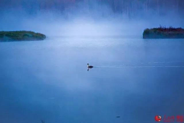 微信图片_20170926170553