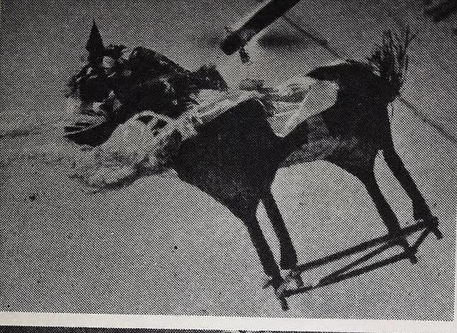 百年前的东北旧影 各个行业都使用什么招牌