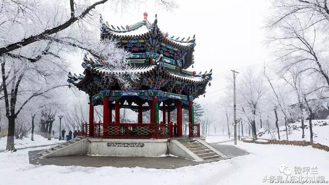 呼兰散文《脆弱》