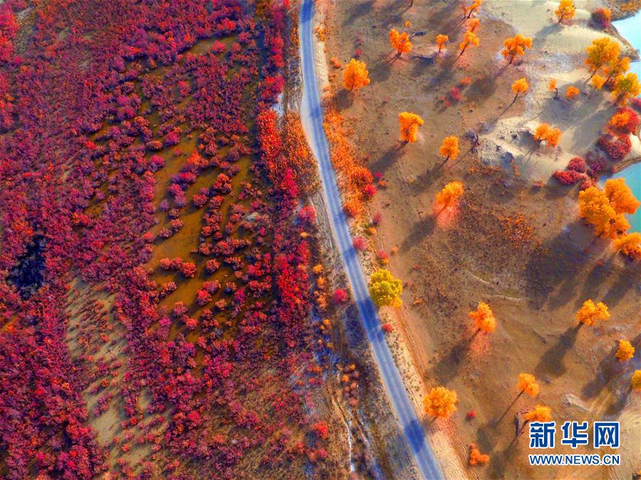 #（环境）（5）秋到塔里木